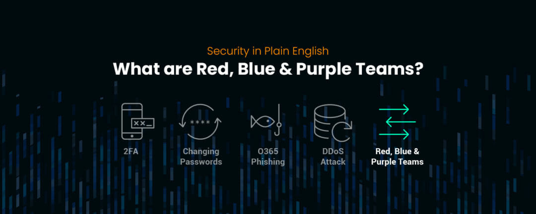 Security in Plain English: What are Red, Blue, and Purple Teams?