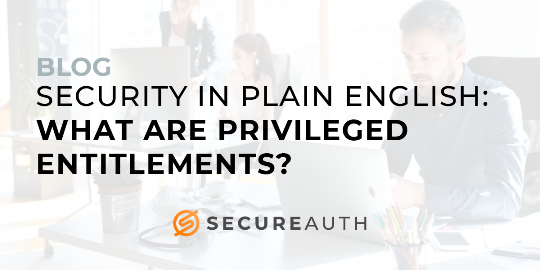 Security in Plain English: What are Privileged Entitlements?
