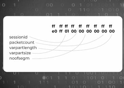 Exploring the SAP HANA SQL Command Network Protocol – Protocol Basics and Authentication