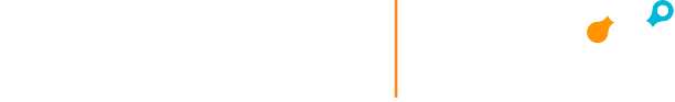 sa-netskope