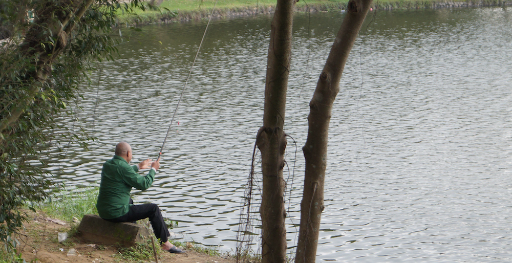 Phishing Attacks Won’t Work If There Are No Passwords To Phish