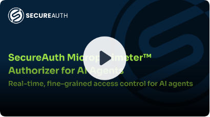 Demo video of the microperimeter authorizer